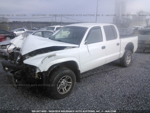 1D7HG38KX4S556967 - 2004 DODGE DAKOTA QUAD SPORT WHITE photo 2