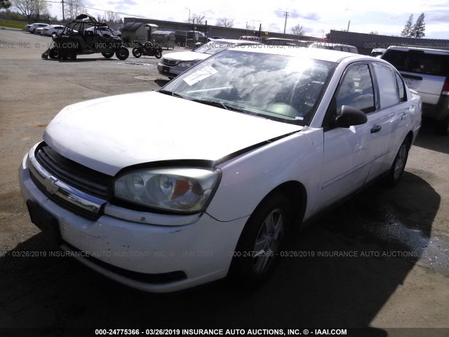 1G1ZT54805F120129 - 2005 CHEVROLET MALIBU LS WHITE photo 2