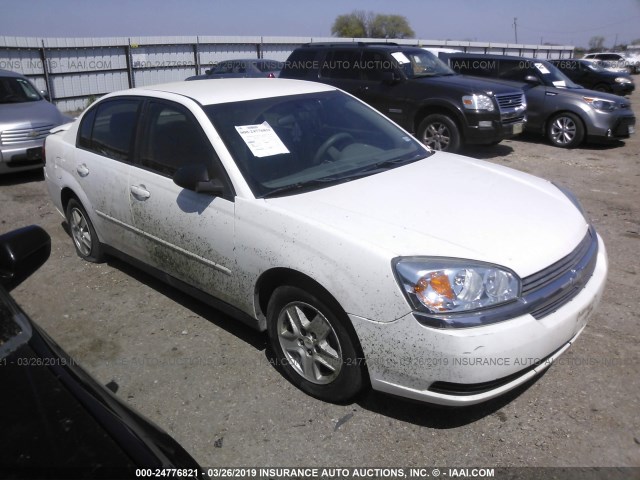 1G1ZT54835F211119 - 2005 CHEVROLET MALIBU LS WHITE photo 1