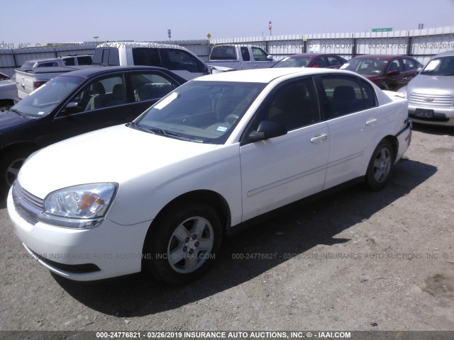 1G1ZT54835F211119 - 2005 CHEVROLET MALIBU LS WHITE photo 2