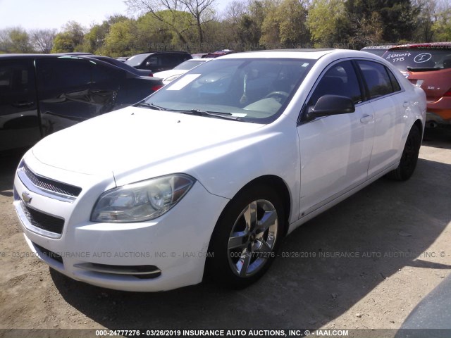 1G1ZG57B494104593 - 2009 CHEVROLET MALIBU LS WHITE photo 2
