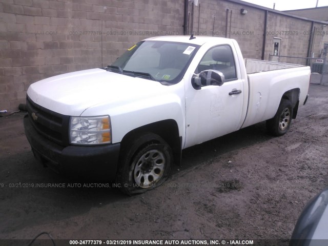 1GCEC14X78Z109699 - 2008 CHEVROLET SILVERADO C1500 WHITE photo 2