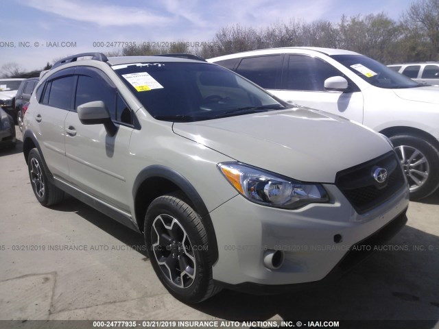 JF2GPACC4D1813445 - 2013 SUBARU XV CROSSTREK 2.0 PREMIUM GRAY photo 1