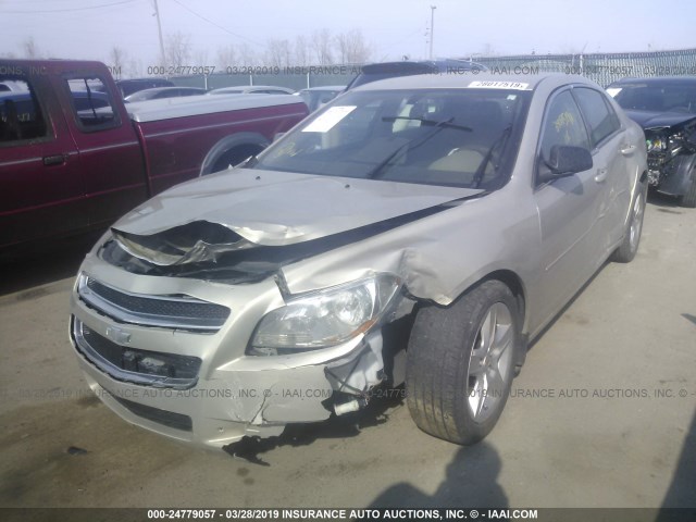 1G1ZB5E18BF358004 - 2011 CHEVROLET MALIBU LS TAN photo 2