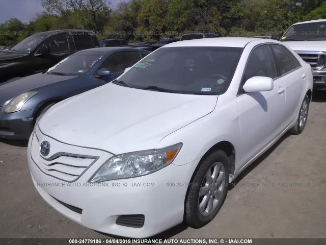 4T4BF3EKXBR143411 - 2011 TOYOTA CAMRY SE/LE/XLE WHITE photo 2