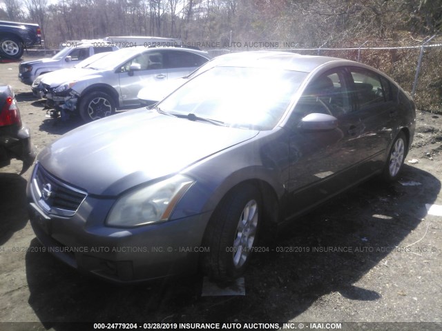 1N4BA41E47C804386 - 2007 NISSAN MAXIMA SE/SL GRAY photo 2