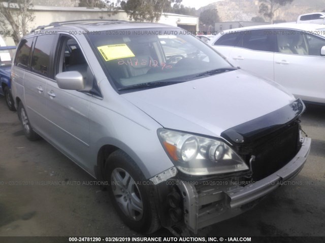 5FNRL38735B092456 - 2005 HONDA ODYSSEY EXL TAN photo 1