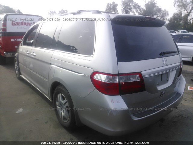 5FNRL38735B092456 - 2005 HONDA ODYSSEY EXL TAN photo 3