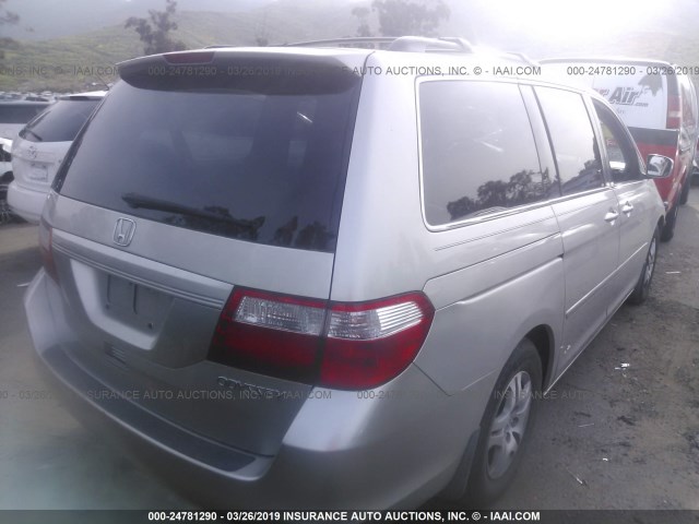 5FNRL38735B092456 - 2005 HONDA ODYSSEY EXL TAN photo 4