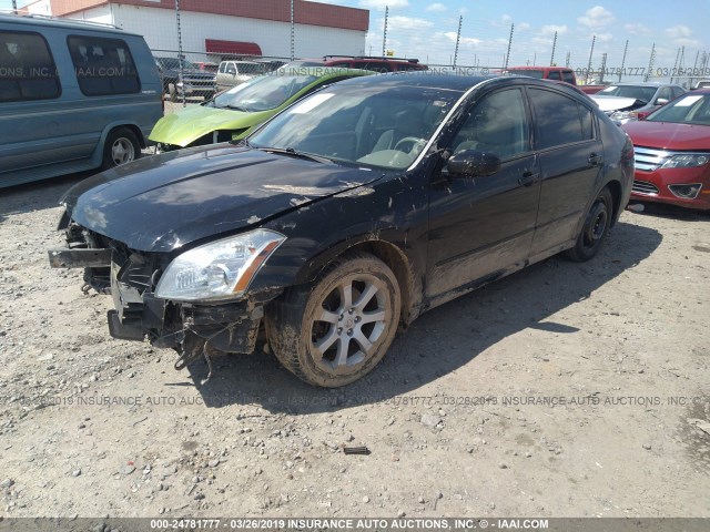 1N4BA41E27C831635 - 2007 NISSAN MAXIMA SE/SL BLACK photo 2