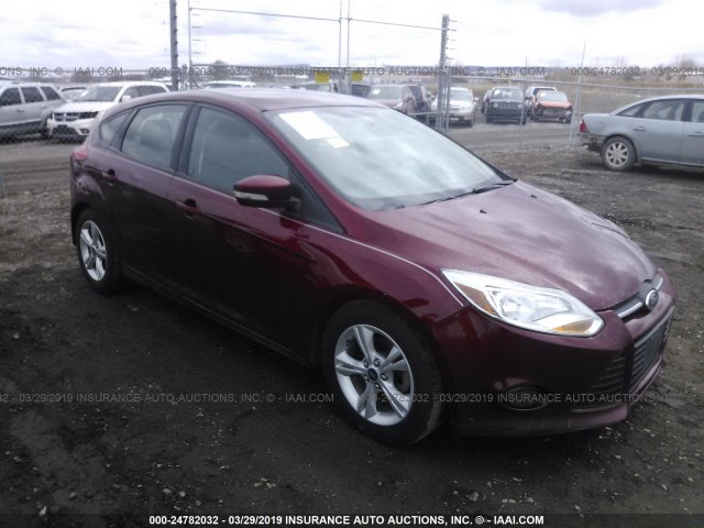 1FADP3K2XEL260155 - 2014 FORD FOCUS SE RED photo 1