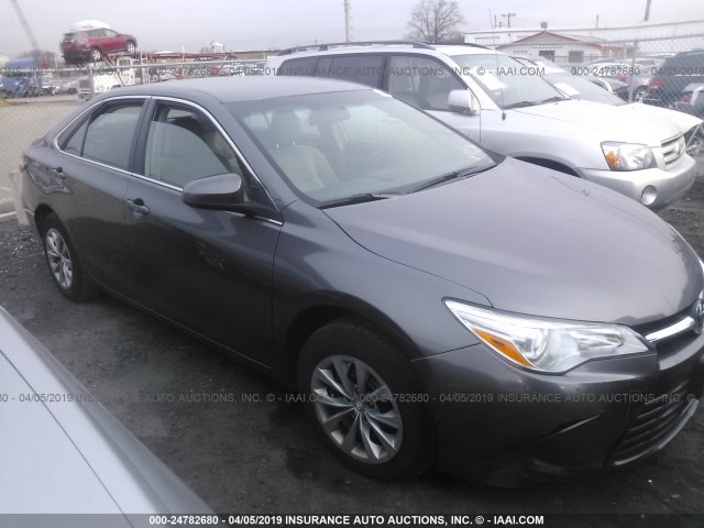4T1BF1FKXGU152503 - 2016 TOYOTA CAMRY LE/XLE/SE/XSE GRAY photo 1