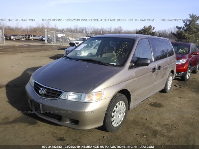 5FNRL18564B046248 - 2004 HONDA ODYSSEY LX GOLD photo 2