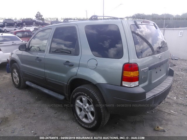 1FMYU93167KA05262 - 2007 FORD ESCAPE XLT GREEN photo 3