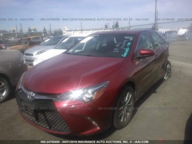 4T1BF1FK3HU713741 - 2017 TOYOTA CAMRY LE/XLE/SE/XSE 勃艮第红 照片 2