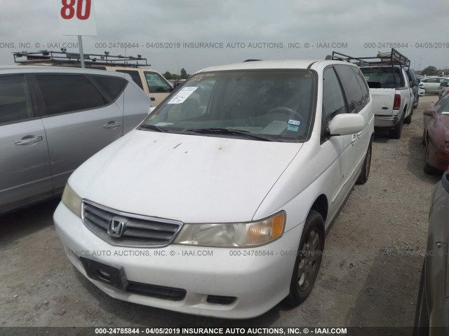 5FNRL18922B009231 - 2002 HONDA ODYSSEY EXL WHITE photo 2