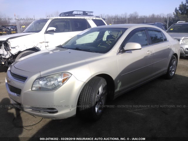 1G1ZH57B79F113953 - 2009 CHEVROLET MALIBU 1LT 金色 照片 2