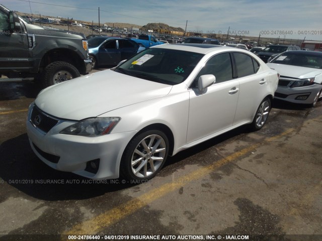 JTHBF5C23C5183191 - 2012 LEXUS IS 250 WHITE photo 2