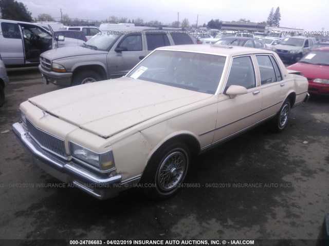 1G1BN51EXKR147385 - 1989 CHEVROLET CAPRICE CLASSIC TAN photo 2