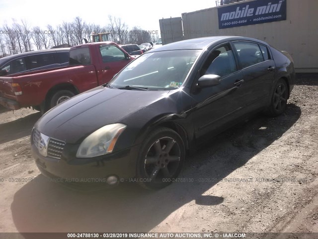 1N4BA41E86C849118 - 2006 NISSAN MAXIMA SE/SL BLACK photo 2