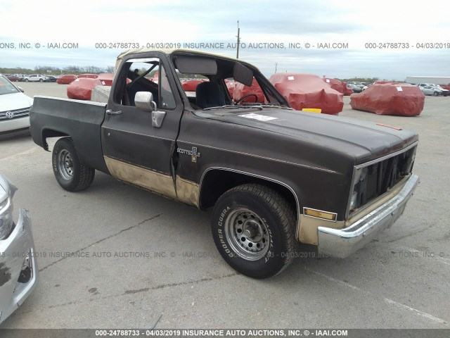 1GCGC24MXES176905 - 1984 CHEVROLET C20 BROWN photo 1