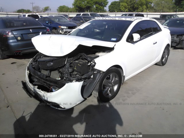 KNAFU6A27B5449048 - 2011 KIA FORTE EX WHITE photo 2