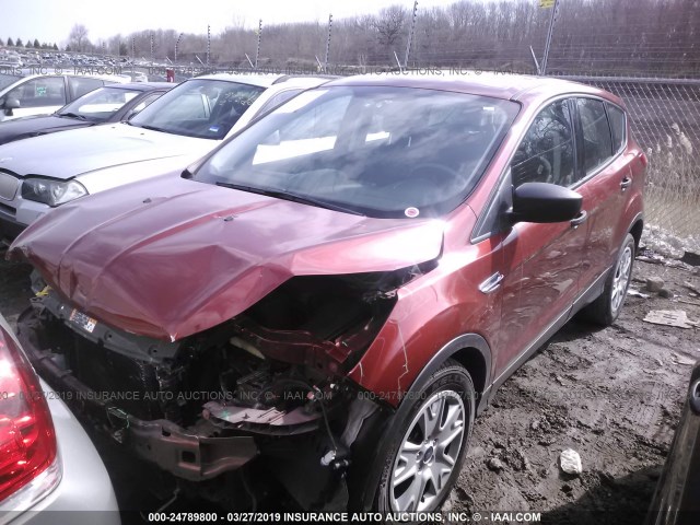 1FMCU0F71EUC90394 - 2014 FORD ESCAPE S ORANGE photo 2