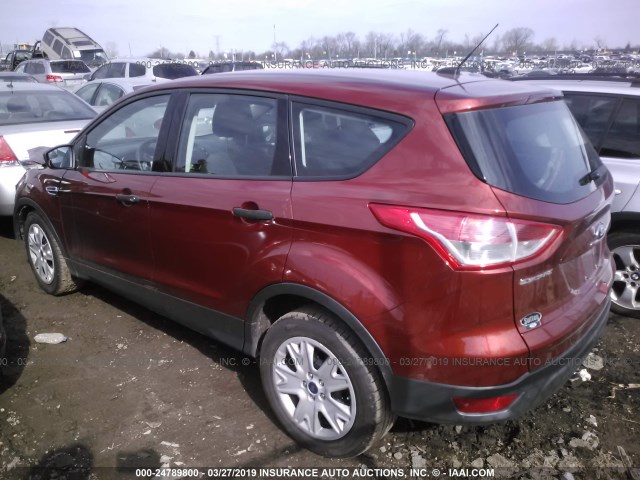 1FMCU0F71EUC90394 - 2014 FORD ESCAPE S ORANGE photo 3