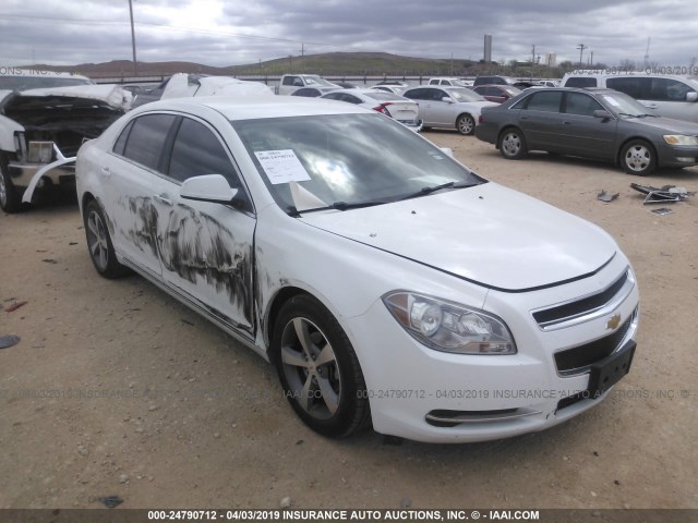 1G1ZC5EU1BF146391 - 2011 CHEVROLET MALIBU 1LT 白色 照片 1
