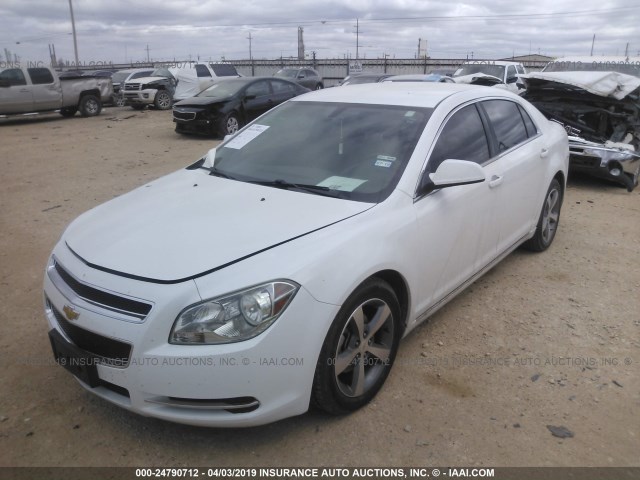 1G1ZC5EU1BF146391 - 2011 CHEVROLET MALIBU 1LT 白色 照片 2