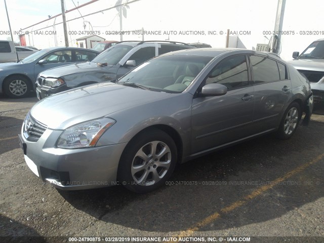 1N4BA41E37C808882 - 2007 NISSAN MAXIMA SE/SL SILVER photo 2