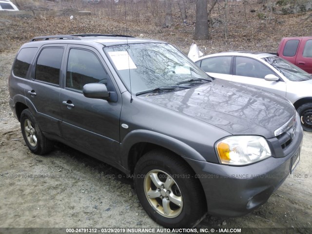 4F2YZ94196KM05514 - 2006 MAZDA TRIBUTE S GRAY photo 1