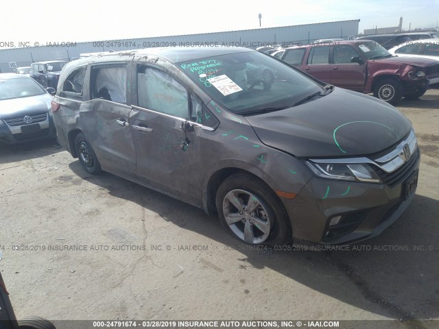 5FNRL6H78JB005551 - 2018 HONDA ODYSSEY EXL GRAY photo 1