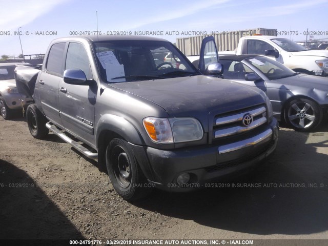 5TBET34106S513488 - 2006 TOYOTA TUNDRA DOUBLE CAB SR5 GRAY photo 1