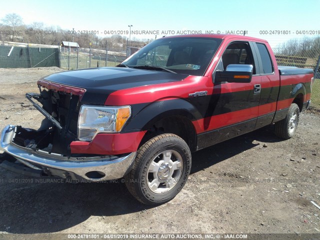 1FTEX1E83AKE38958 - 2010 FORD F150 SUPER CAB RED photo 2