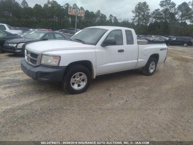 1D7HW32KX8S559238 - 2008 DODGE DAKOTA WHITE photo 2