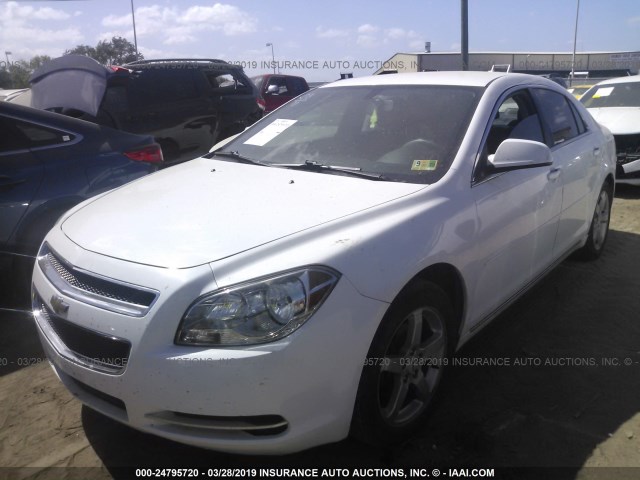 1G1ZC5E16BF283493 - 2011 CHEVROLET MALIBU 1LT 白色 照片 2