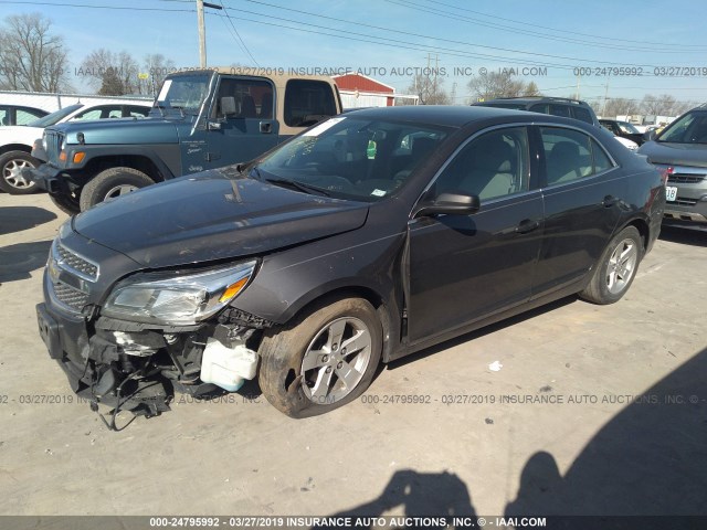 1G11B5SA4DF147953 - 2013 CHEVROLET MALIBU LS Dark Brown photo 2