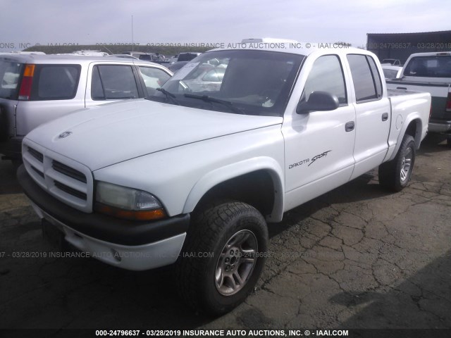 1B7HG2AN61S295440 - 2001 DODGE DAKOTA QUAD WHITE photo 2