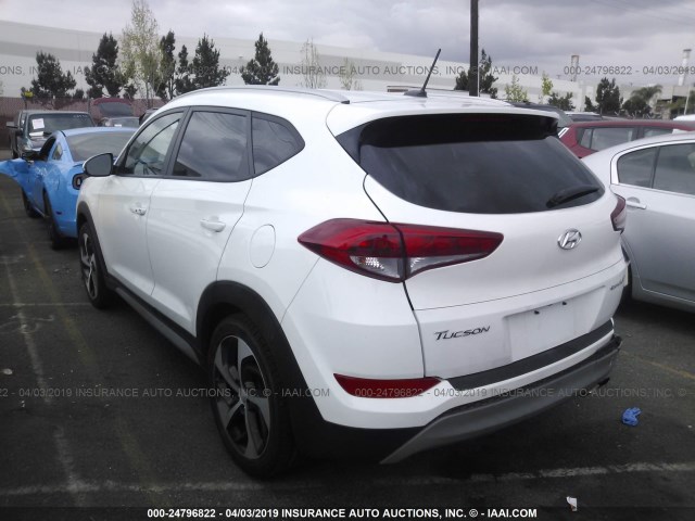 KM8J33A20HU441835 - 2017 HYUNDAI TUCSON LIMITED/SPORT AND ECO/SE WHITE photo 3