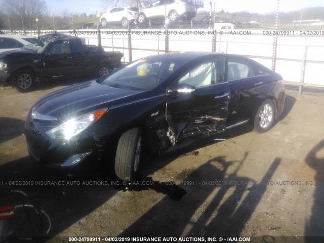 KMHEC4A41CA041818 - 2012 HYUNDAI SONATA HYBRID BLACK photo 2