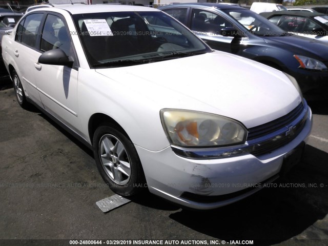 1G1ZT54835F230429 - 2005 CHEVROLET MALIBU LS WHITE photo 1