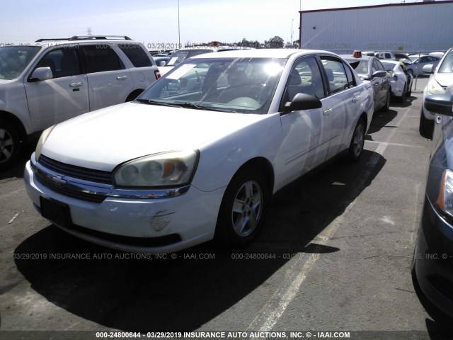 1G1ZT54835F230429 - 2005 CHEVROLET MALIBU LS WHITE photo 2
