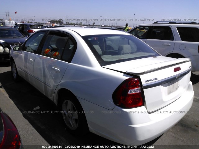 1G1ZT54835F230429 - 2005 CHEVROLET MALIBU LS WHITE photo 3