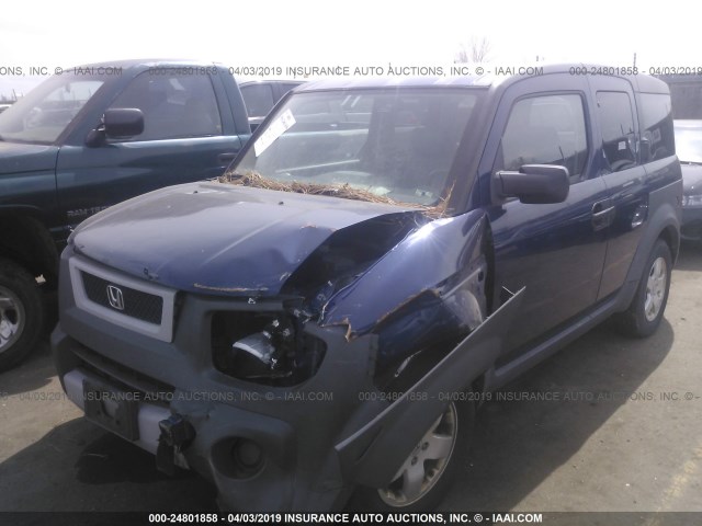 5J6YH28553L013184 - 2003 HONDA ELEMENT EX BLUE photo 2