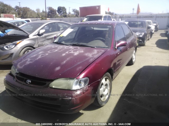 1NXBR18E7WZ004080 - 1998 TOYOTA COROLLA VE/CE/LE BURGUNDY photo 2