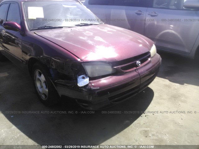 1NXBR18E7WZ004080 - 1998 TOYOTA COROLLA VE/CE/LE BURGUNDY photo 6