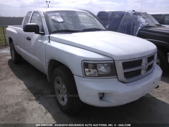 1D7RW3BK4BS661582 - 2011 DODGE DAKOTA SLT WHITE photo 1