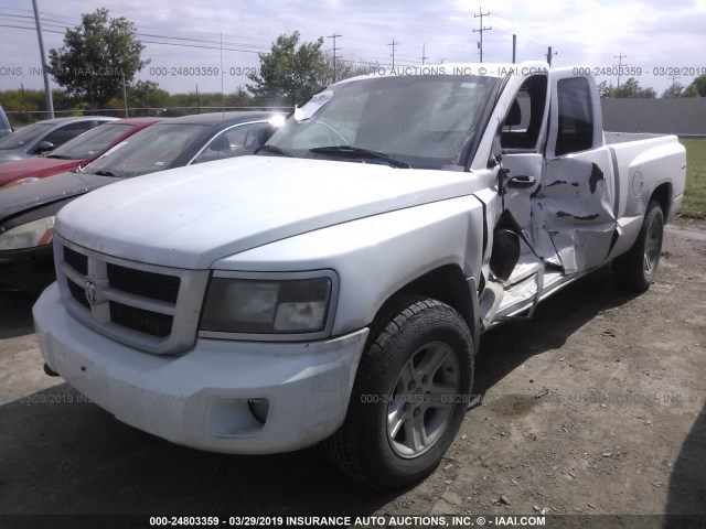 1D7RW3BK4BS661582 - 2011 DODGE DAKOTA SLT WHITE photo 2