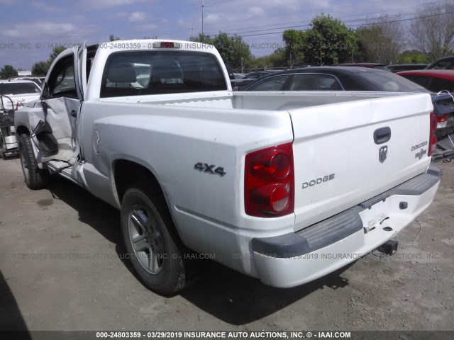 1D7RW3BK4BS661582 - 2011 DODGE DAKOTA SLT WHITE photo 3